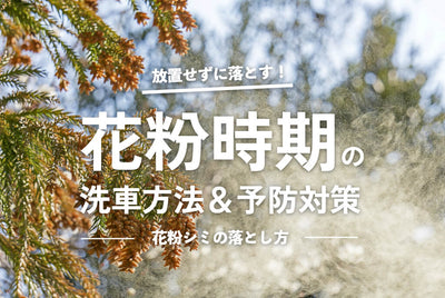 放置せずについたら落とす！花粉時期の洗車方法と予防対策、花粉シミの落とし方も解説